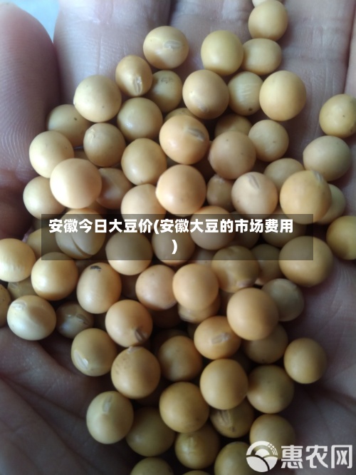 安徽今日大豆价(安徽大豆的市场费用)-第2张图片