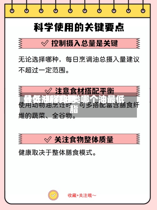 什么油脂费用最低/所有油类哪个油最低脂-第3张图片