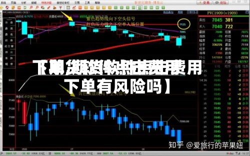 【期货软件点击费用下单,期货软件点击费用下单有风险吗】-第2张图片