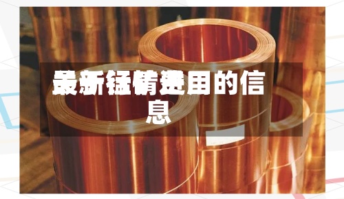 关于锰矿费用最新行情进口的信息-第2张图片