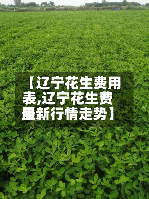 【辽宁花生费用表,辽宁花生费用最新行情走势】-第2张图片