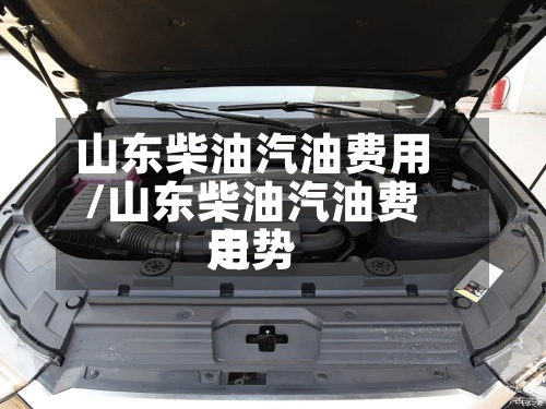 山东柴油汽油费用
/山东柴油汽油费用
走势-第2张图片