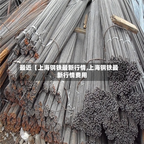 最近【上海钢铁最新行情,上海钢铁最新行情费用
】-第2张图片
