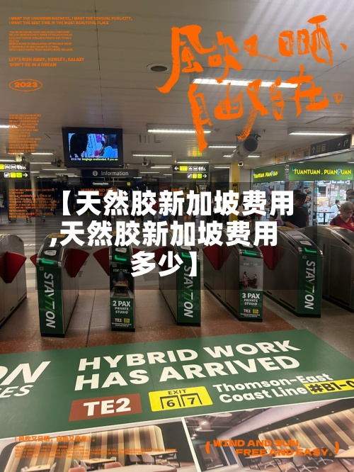 【天然胶新加坡费用,天然胶新加坡费用多少】-第2张图片
