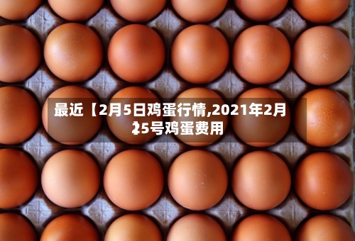 最近【2月5日鸡蛋行情,2021年2月25号鸡蛋费用】-第3张图片