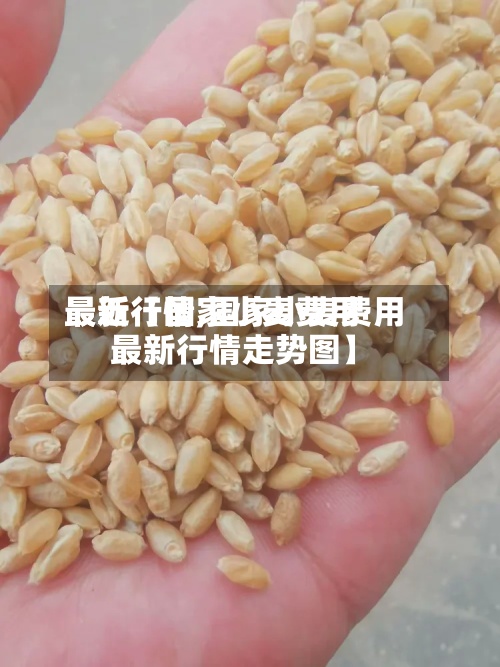 最近【国家小麦费用最新行情,国家小麦费用最新行情走势图】-第3张图片