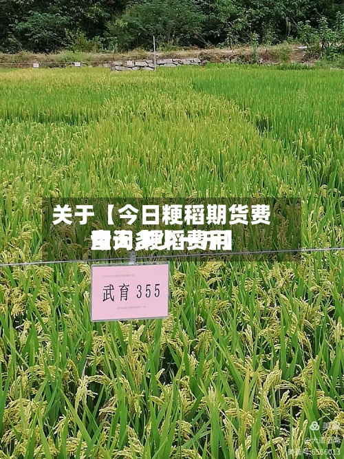 关于【今日粳稻期货费用
查询,粳稻费用
今天多少一斤】-第2张图片