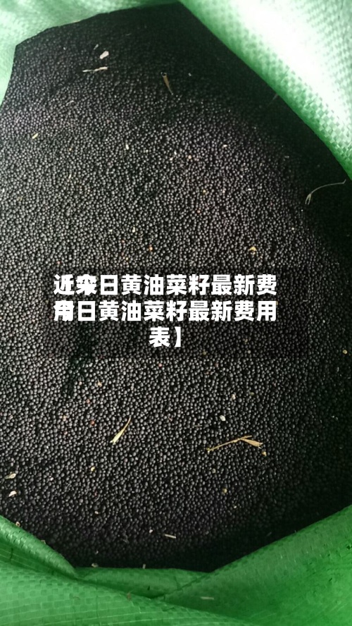 近来【今日黄油菜籽最新费用今日黄油菜籽最新费用表】-第2张图片