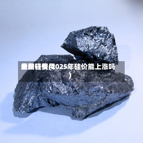 金属硅费用最新行情(2025年硅价能上涨吗)