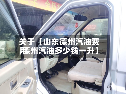 关于【山东德州汽油费用
,德州汽油多少钱一升】-第2张图片