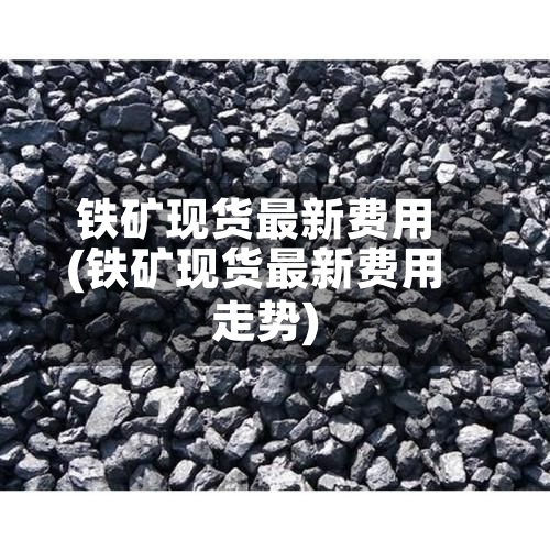 铁矿现货最新费用
(铁矿现货最新费用
走势)-第2张图片