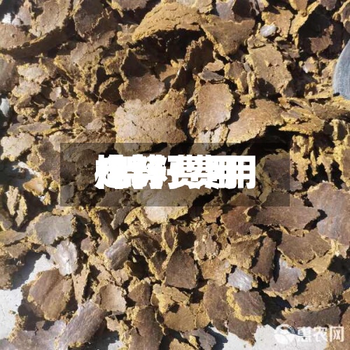 棉籽费用
/棉籽费用
走势-第3张图片