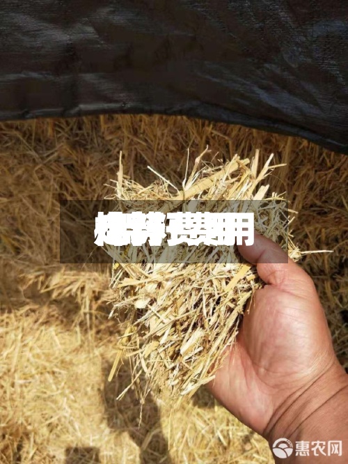 棉籽费用
/棉籽费用
走势-第2张图片