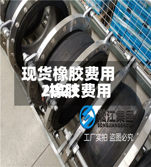 现货橡胶费用/橡胶费用2021-第3张图片