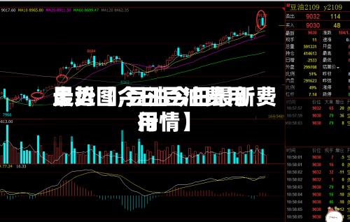最近【今日豆油费用走势图,豆油今日最新费用行情】-第3张图片