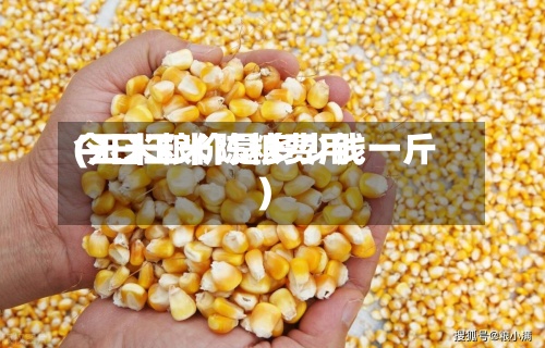 今日玉米陈粮费用(玉米粮价是多少钱一斤)