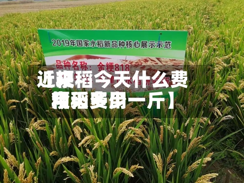近来
【粳稻今天什么费用
粳稻费用
今天多少一斤】-第3张图片
