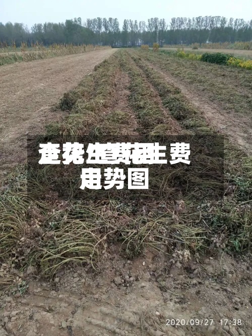 查花生费用
走势/查花生费用
走势图-第2张图片
