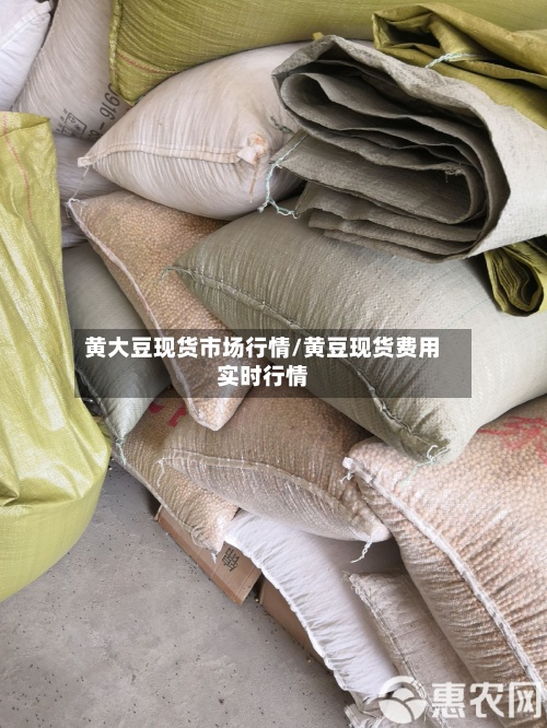 黄大豆现货市场行情/黄豆现货费用实时行情