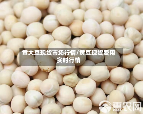 黄大豆现货市场行情/黄豆现货费用实时行情-第3张图片