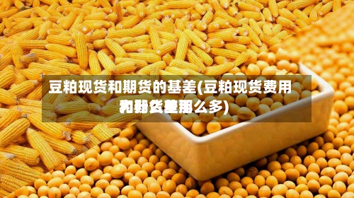 豆粕现货和期货的基差(豆粕现货费用和期货费用为什么差那么多)