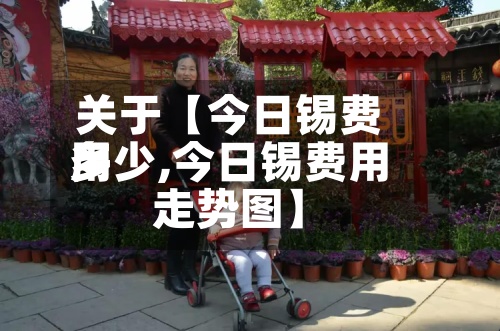 关于【今日锡费用多少,今日锡费用走势图】-第2张图片