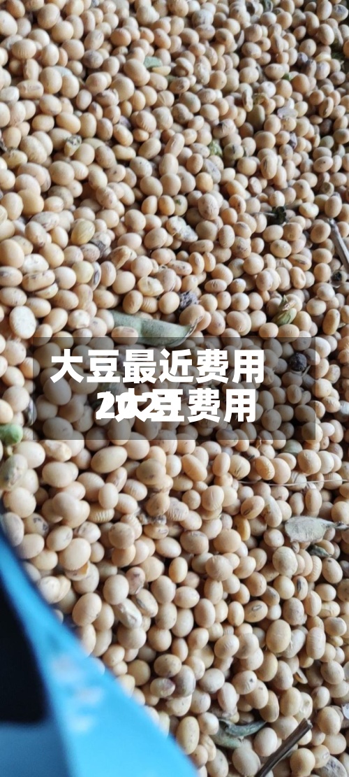 大豆最近费用/大豆费用2021-第2张图片