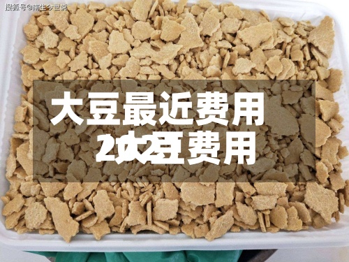 大豆最近费用/大豆费用2021