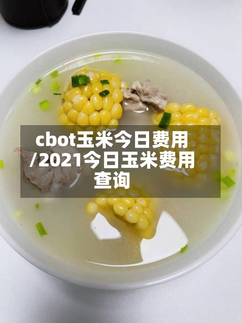 cbot玉米今日费用/2021今日玉米费用查询-第2张图片