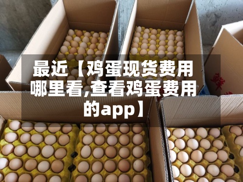 最近【鸡蛋现货费用哪里看,查看鸡蛋费用的app】-第3张图片