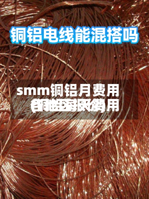smm铜铝月费用(铜铝每天费用各地区报价)