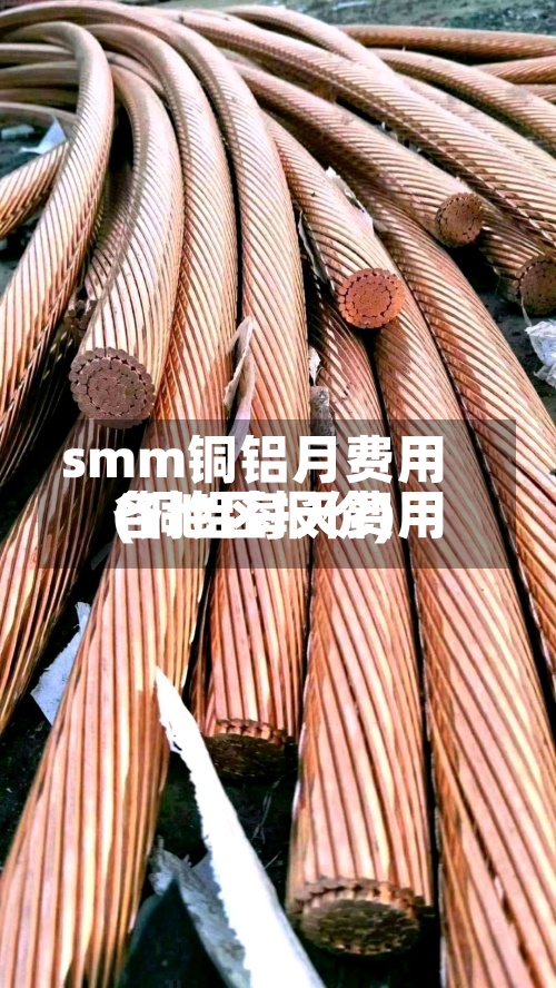 smm铜铝月费用(铜铝每天费用各地区报价)-第2张图片
