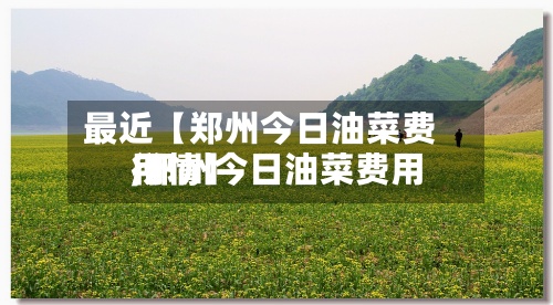 最近【郑州今日油菜费用,郑州今日油菜费用行情】-第2张图片
