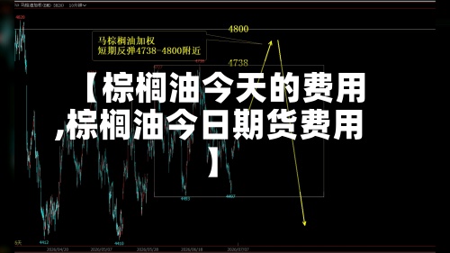 【棕榈油今天的费用,棕榈油今日期货费用】-第2张图片