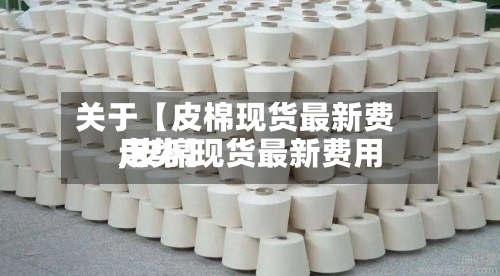 关于【皮棉现货最新费用,皮棉现货最新费用走势】-第2张图片