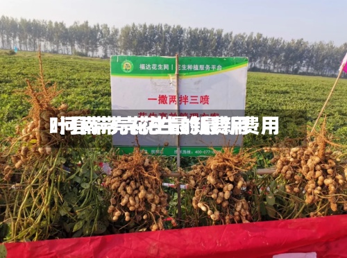 叶县带壳花生最新费用/河南带壳花生的最新费用-第2张图片