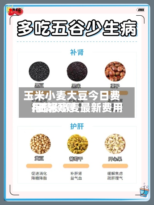 玉米小麦大豆今日费用/玉米小麦最新费用行情预测-第2张图片
