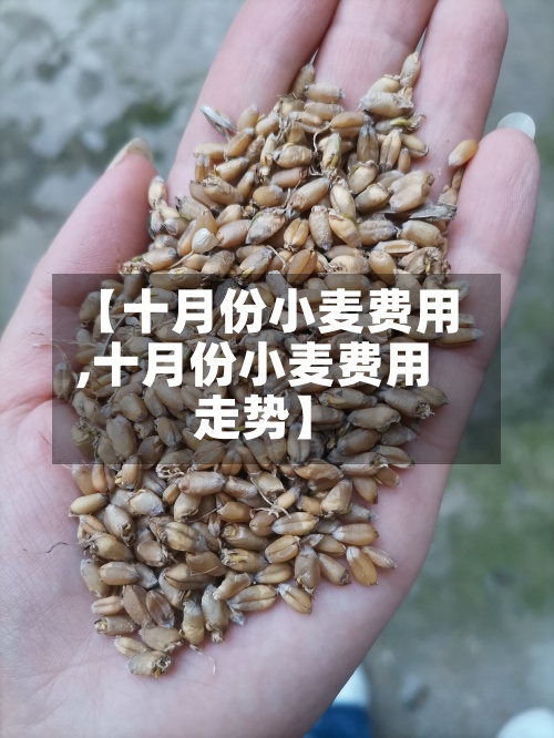 【十月份小麦费用,十月份小麦费用走势】-第3张图片