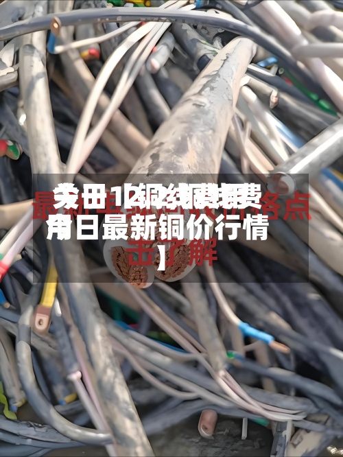 关于【铜线费用今日12.2,铜线费用今日最新铜价行情】-第2张图片