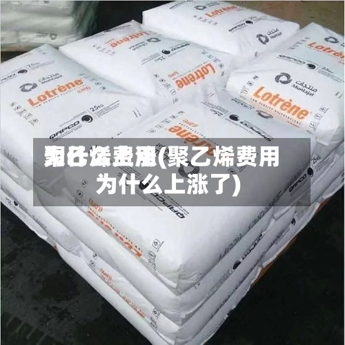 聚乙烯费用为什么上涨(聚乙烯费用为什么上涨了)-第3张图片