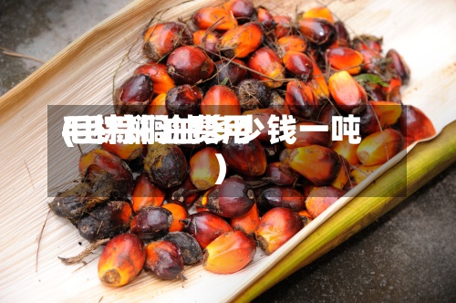 毛棕榈油费用(毛棕榈油多少钱一吨)-第2张图片