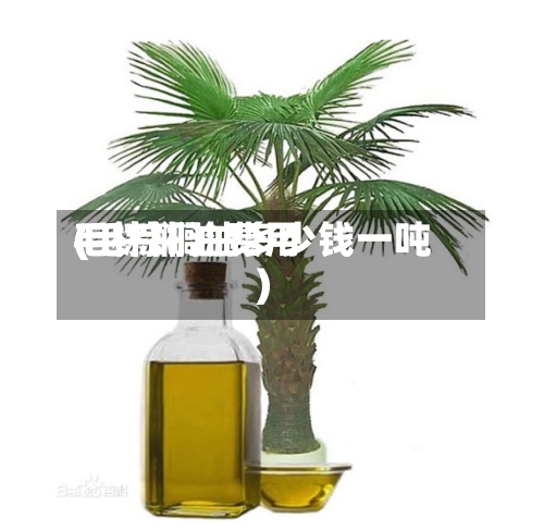毛棕榈油费用(毛棕榈油多少钱一吨)-第3张图片