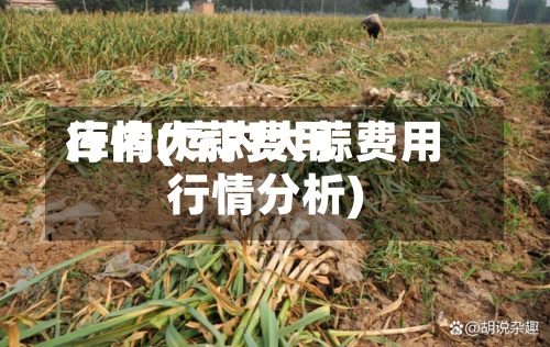库内大蒜费用行情(库内大蒜费用行情分析)-第3张图片