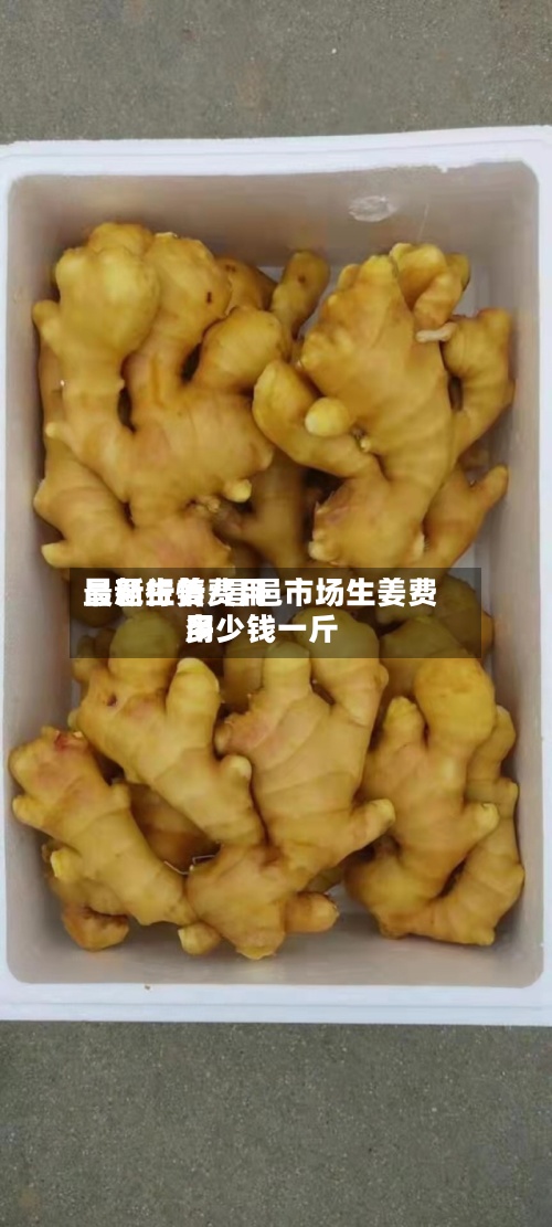 昌邑生姜费用最新行情/昌邑市场生姜费用多少钱一斤-第2张图片