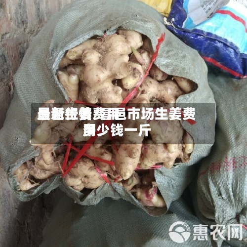 昌邑生姜费用最新行情/昌邑市场生姜费用多少钱一斤-第3张图片