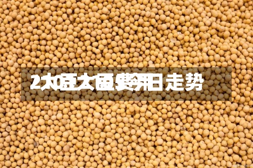 2101大豆费用/大豆2105今日走势-第2张图片
