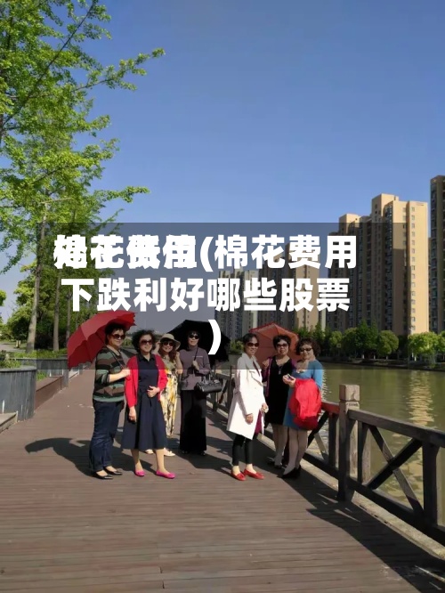 棉花费用处于低位(棉花费用下跌利好哪些股票)-第2张图片