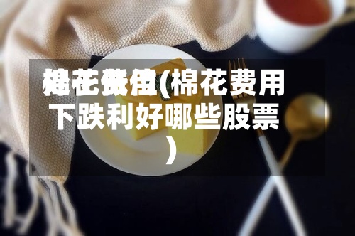 棉花费用处于低位(棉花费用下跌利好哪些股票)