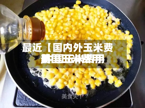 最近【国内外玉米费用,中国玉米费用美国玉米费用】