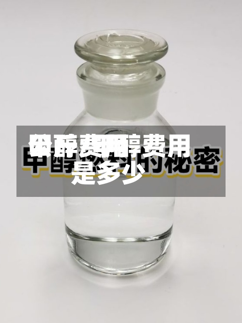 甲醇费用公斤/甲醇费用是多少